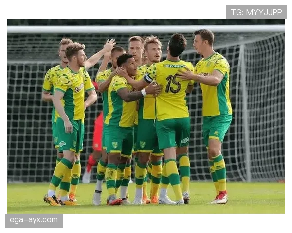 诺维奇冲超梦碎，重建之路步履维艰