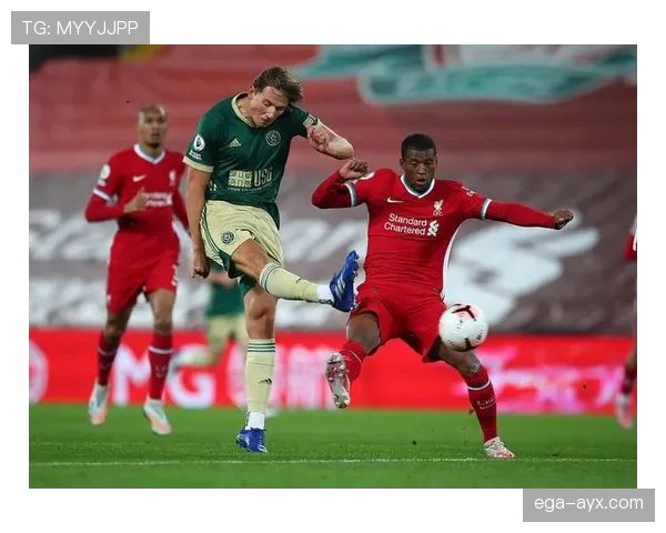 谢联传奇再放光芒,重返英超展现强劲竞争力 谢联传奇再放光芒,重返英超展现强劲竞争力