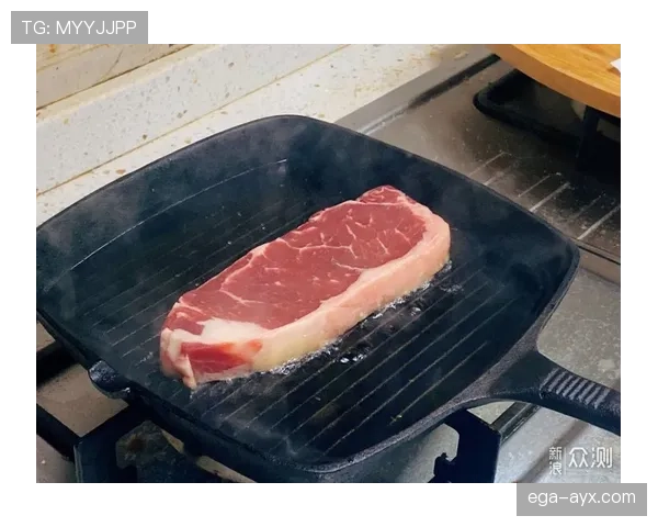 皮斯托瑞斯家的冰箱里,连牛排都按秒表解冻 皮斯托瑞斯家的冰箱里,连牛排都按秒表解冻